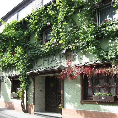 Weingut Franz Schäfer-3
